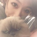 12819015_1531733870456741_244286822_a