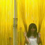 12826167_739928519440703_191909395_a