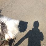 12816919_814565641981038_1264804557_a