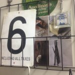 11176383_1607955962776703_284952298_a