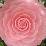 10326449_723746201102003_1608393933_a