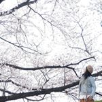 12940760_260872027580173_459901639_a