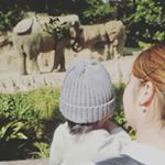 11899469_1274042929279591_2027223830_a