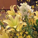 12798187_1526481200980550_1345552747_a