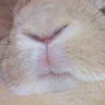 12729537_975403182497015_1579743060_a