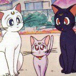 10852919_656764727765814_695545585_a