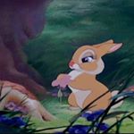 12751536_1574208156230135_336986711_a