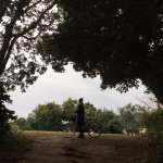 12269947_806239449497848_1036857454_a