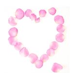 12628110_1660324357555419_1478513835_a