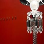 12750034_223004671384422_620883753_a