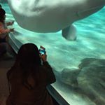 12749874_1514855198819657_1966266718_a