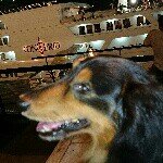 10467969_244923115696277_516340313_a