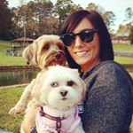 12751445_749949048472587_644143901_a