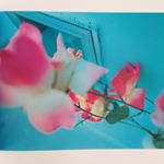 12816835_925554334229602_1476514675_a