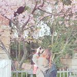 12145543_815897871849877_841640882_a