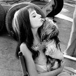 12145357_913792015368930_1475473345_a