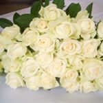 12822579_469215036609211_1738201099_a