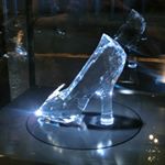 11950541_969799466441889_723389052_a