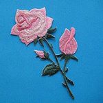 12383652_443788119165340_906909478_a