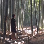 12627893_507003516138337_1421255312_a