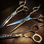 12081125_938132912928532_1285350543_a