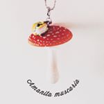 11925824_725506924227703_863446015_a