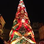 12353805_1649063402034269_431868063_a