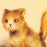 12751348_1098258130216821_844259425_a