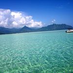 12353883_1040458662683708_1981663123_a