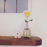 12965934_912408822212553_730925316_a