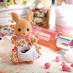 10268844_227430347605619_955206228_a