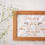 11934862_1544160425880921_42953653_a