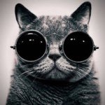 11235976_1127035010655850_1275276885_a