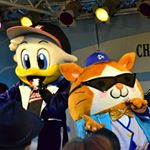 12905218_1596971890623504_1579877463_a