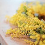 12519489_1316128681736973_36259622_a