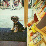 11821293_1691812707704719_2132483864_a