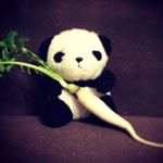 12545525_1679791012232701_394937116_a