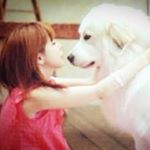 12357597_1531505323832536_1349349905_a