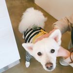 12905247_1707297936225027_1630637102_a