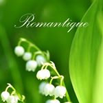 11311240_457219977819771_1144582060_a