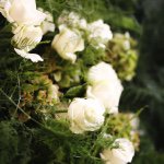 10788016_1406348226321772_487248425_a