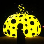 11312383_975716845782839_1242705425_a