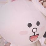 12934932_266108163726091_2066184141_a