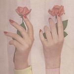 12907140_213815852313308_531811315_a