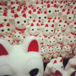 10955327_551247981681769_119297268_a