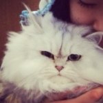 10569914_276831825837435_1854033536_a