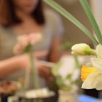 12424401_1693477110902098_438716207_a