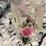 11939575_871307692918024_874230073_a