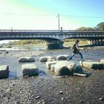 1515300_1734297646783846_1932758085_a