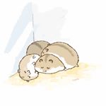 12519428_1757683754444052_253558146_a